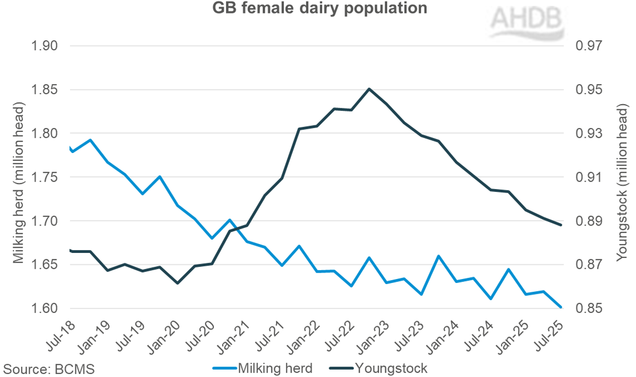 GB dairy female population